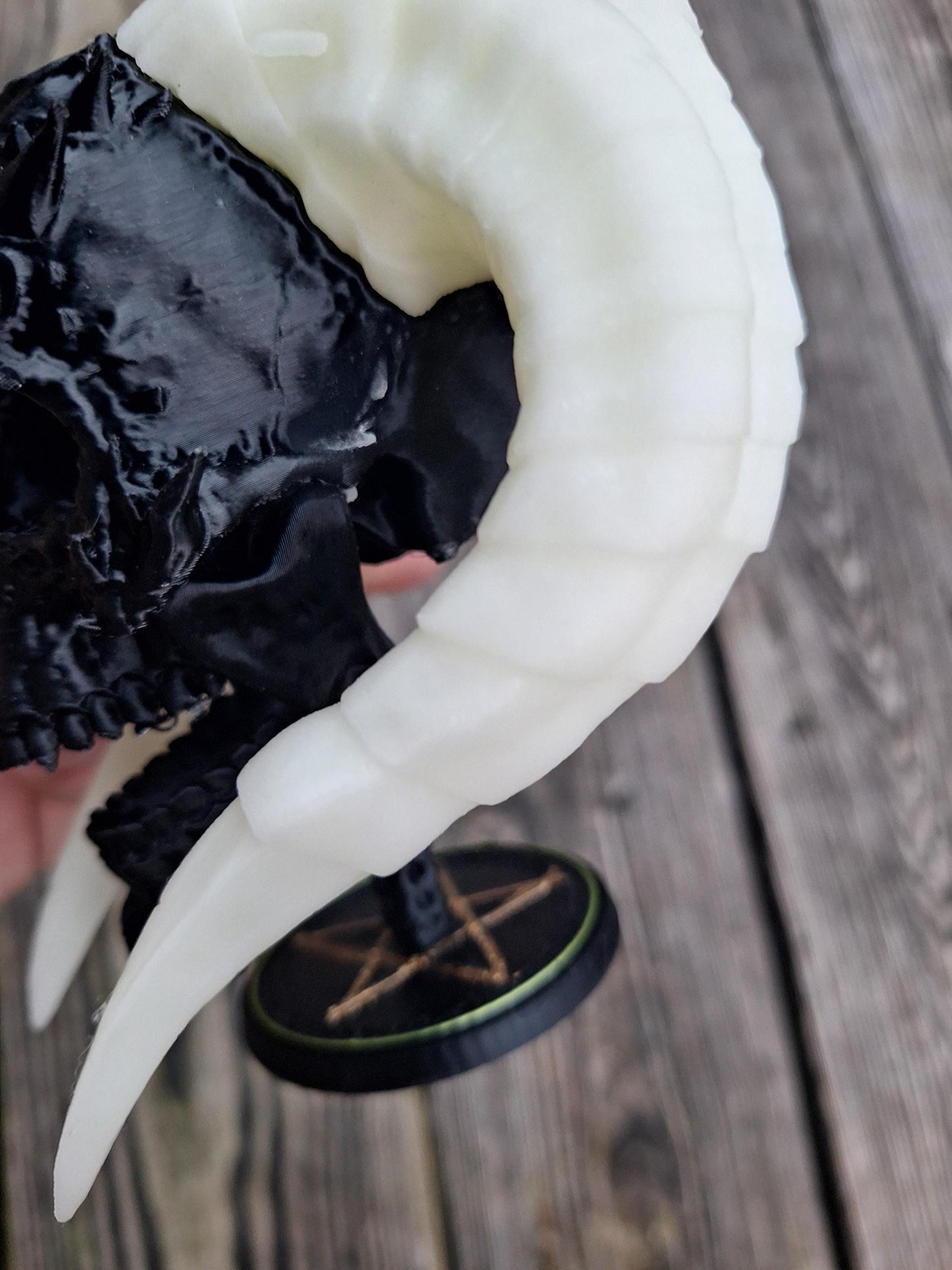 Miniature Demon Skull with glow in the dark horns.