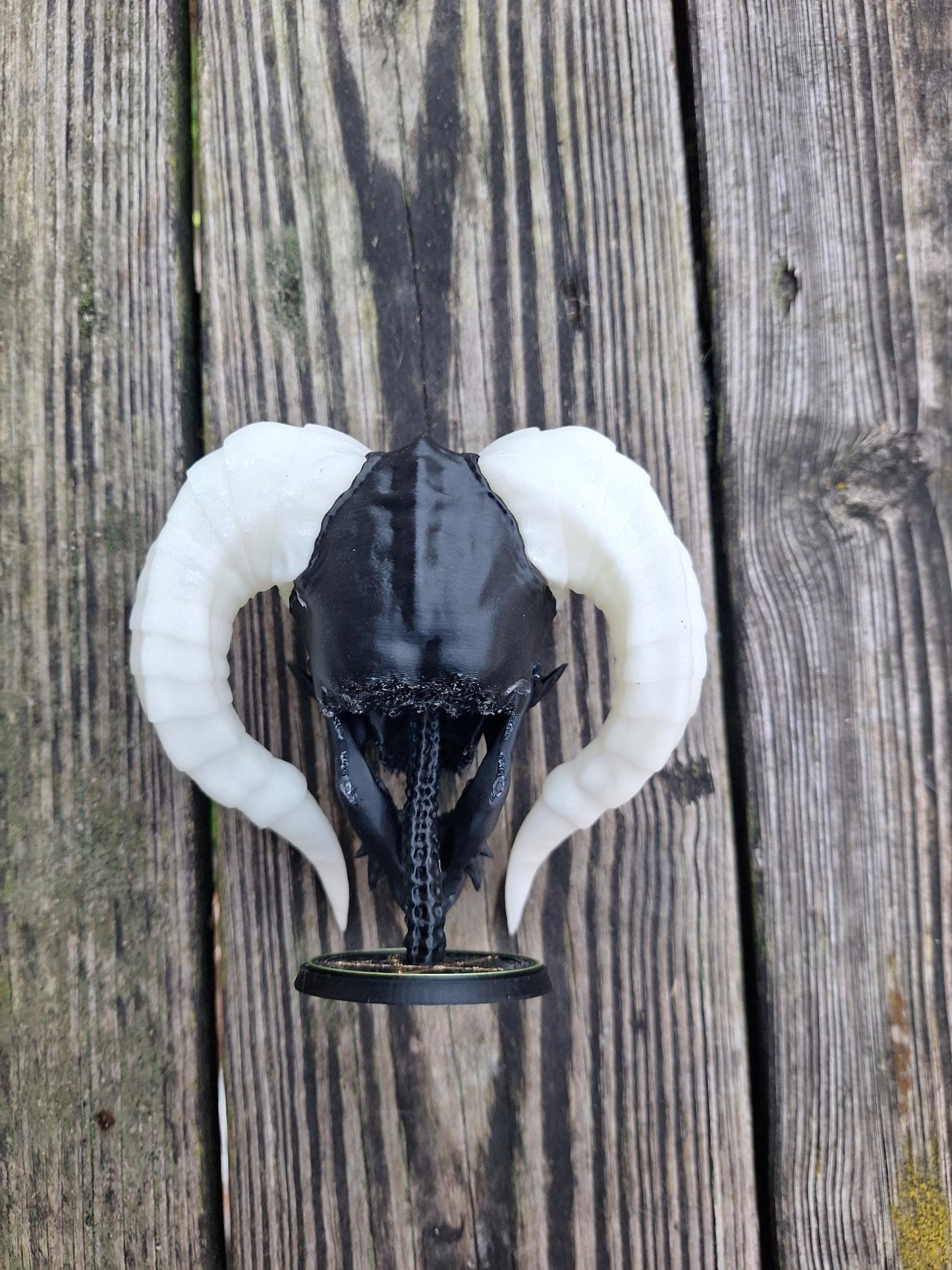 Miniature Demon Skull with glow in the dark horns.