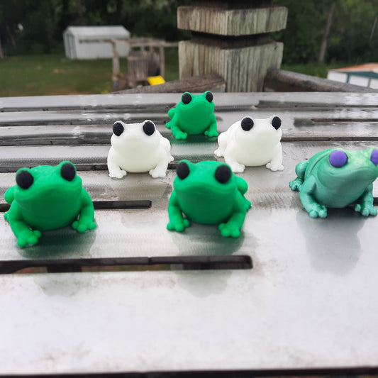 tiny cute frogs